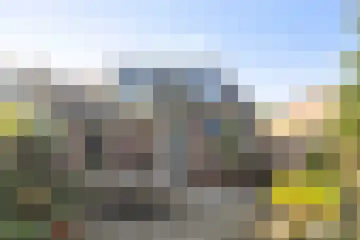 Ringwei 20 Brantgum thumbnail 20