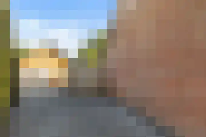 Ringwei 20 Brantgum thumbnail 23