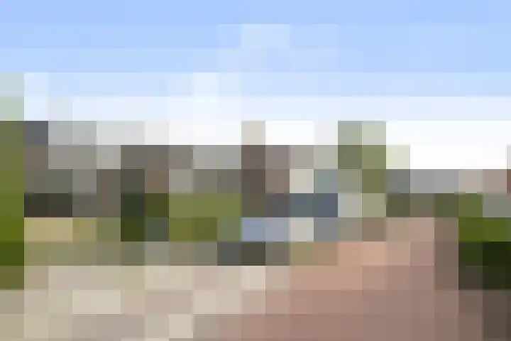 Ringwei 20 Brantgum thumbnail 25