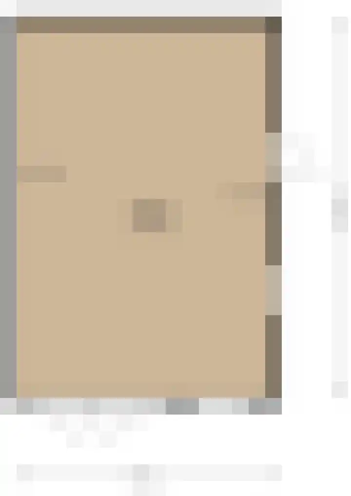 Ringwei 20 Brantgum thumbnail 30
