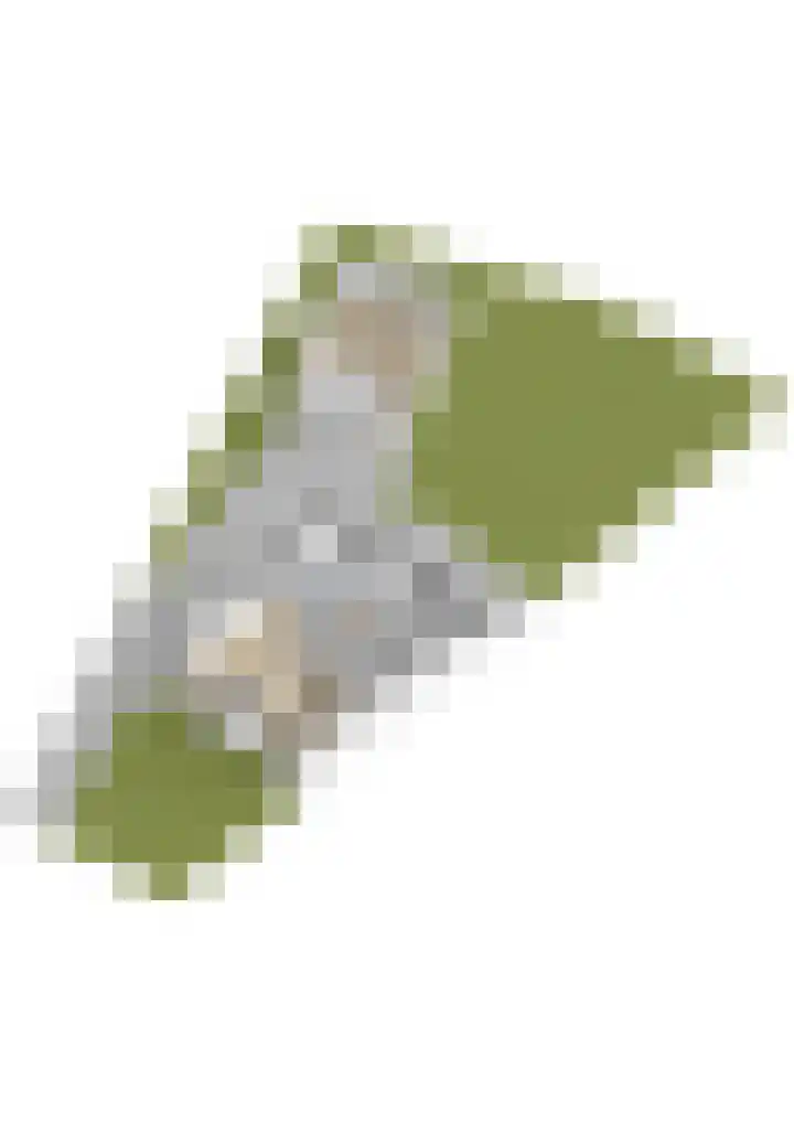 Ringwei 20 Brantgum thumbnail 31