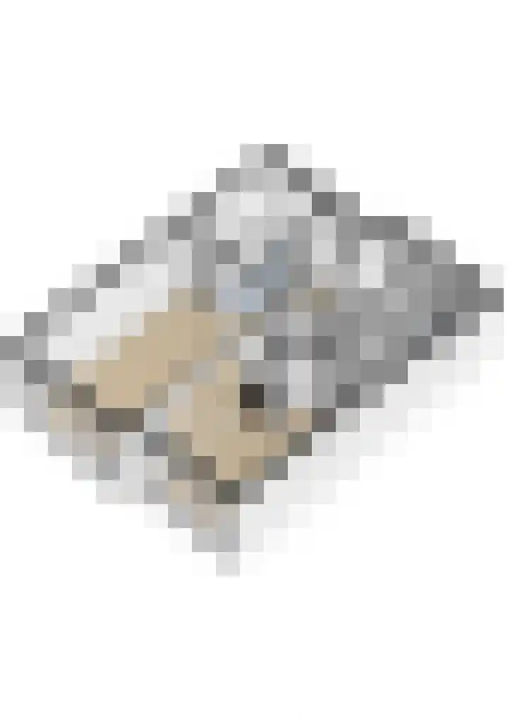 Ringwei 20 Brantgum thumbnail 32