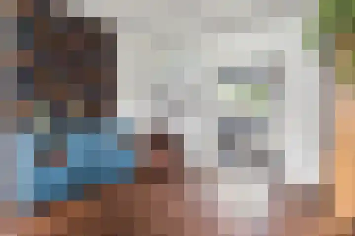 Ringwei 20 Brantgum thumbnail 9