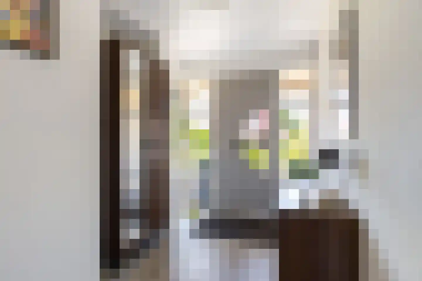 Ringwyk 2 Harkema thumbnail 10
