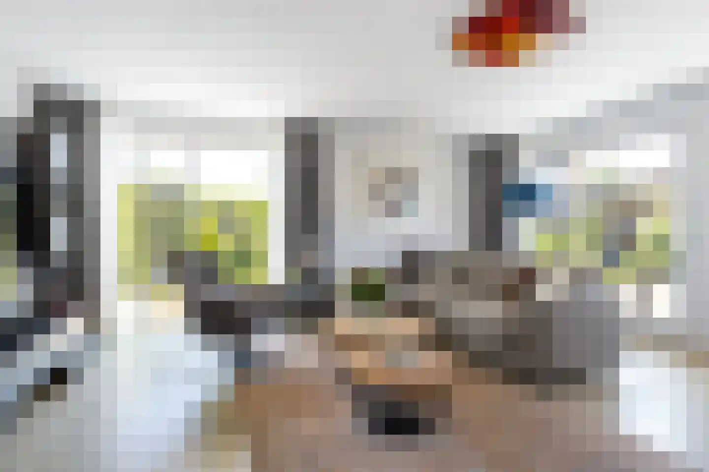 Ringwyk 2 Harkema thumbnail 13