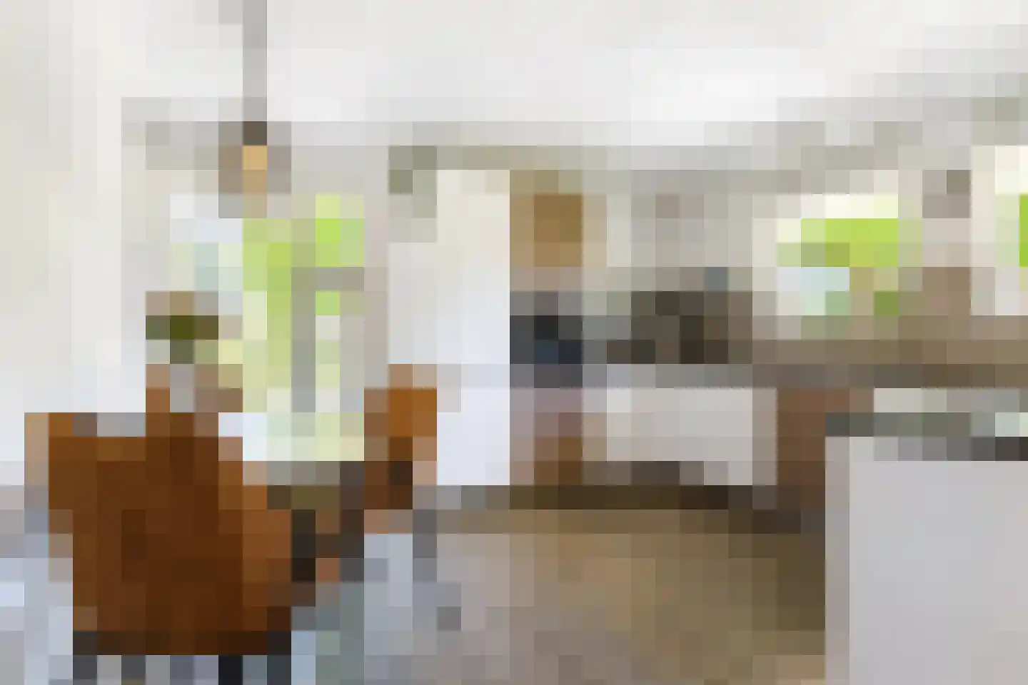 Ringwyk 2 Harkema thumbnail 19