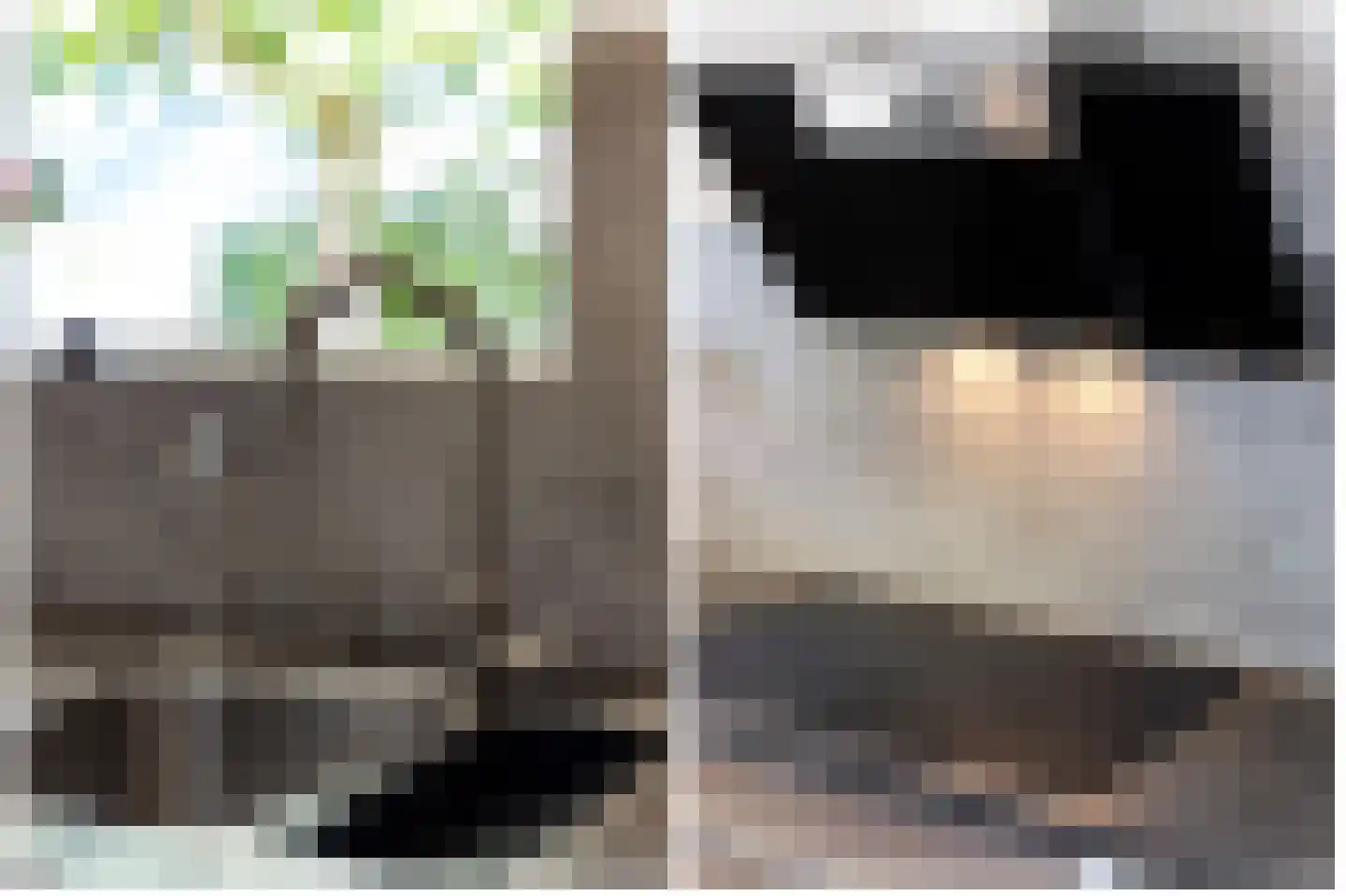 Ringwyk 2 Harkema thumbnail 22