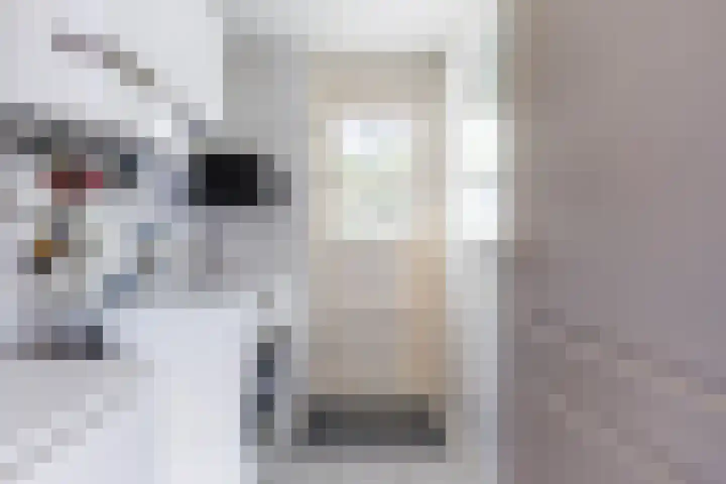 Ringwyk 2 Harkema thumbnail 25