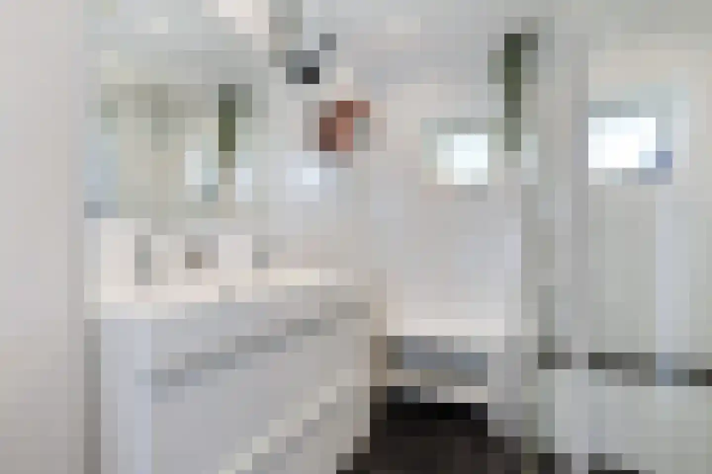 Ringwyk 2 Harkema thumbnail 30
