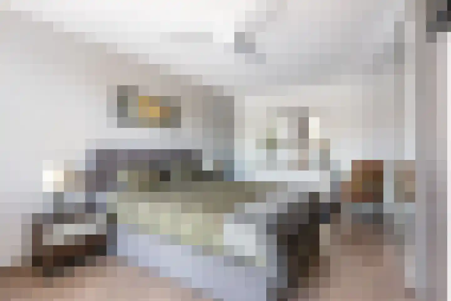 Ringwyk 2 Harkema thumbnail 32