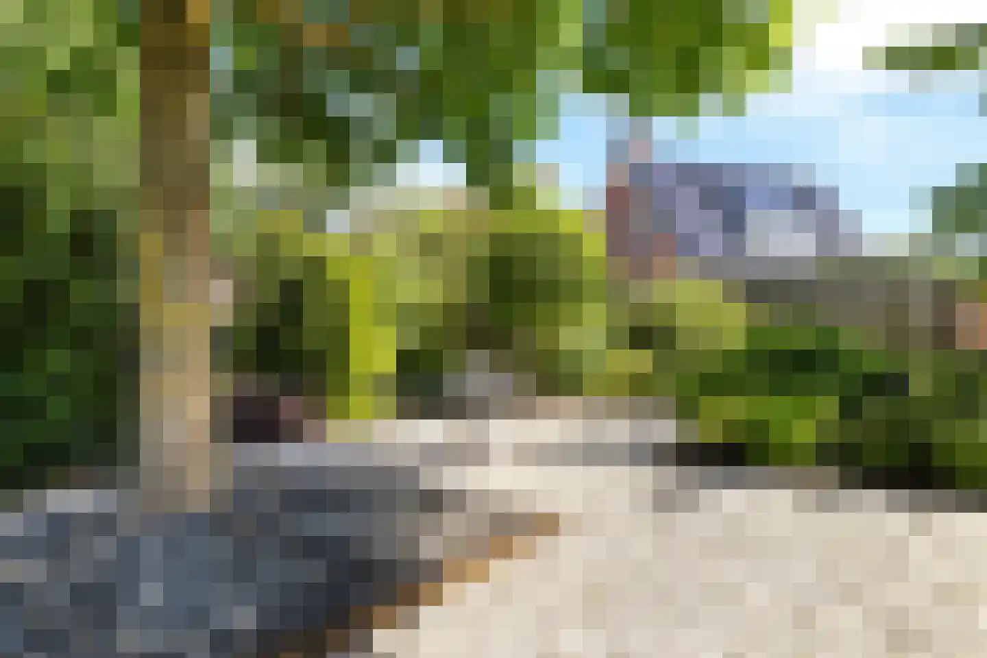 Ringwyk 2 Harkema thumbnail 36