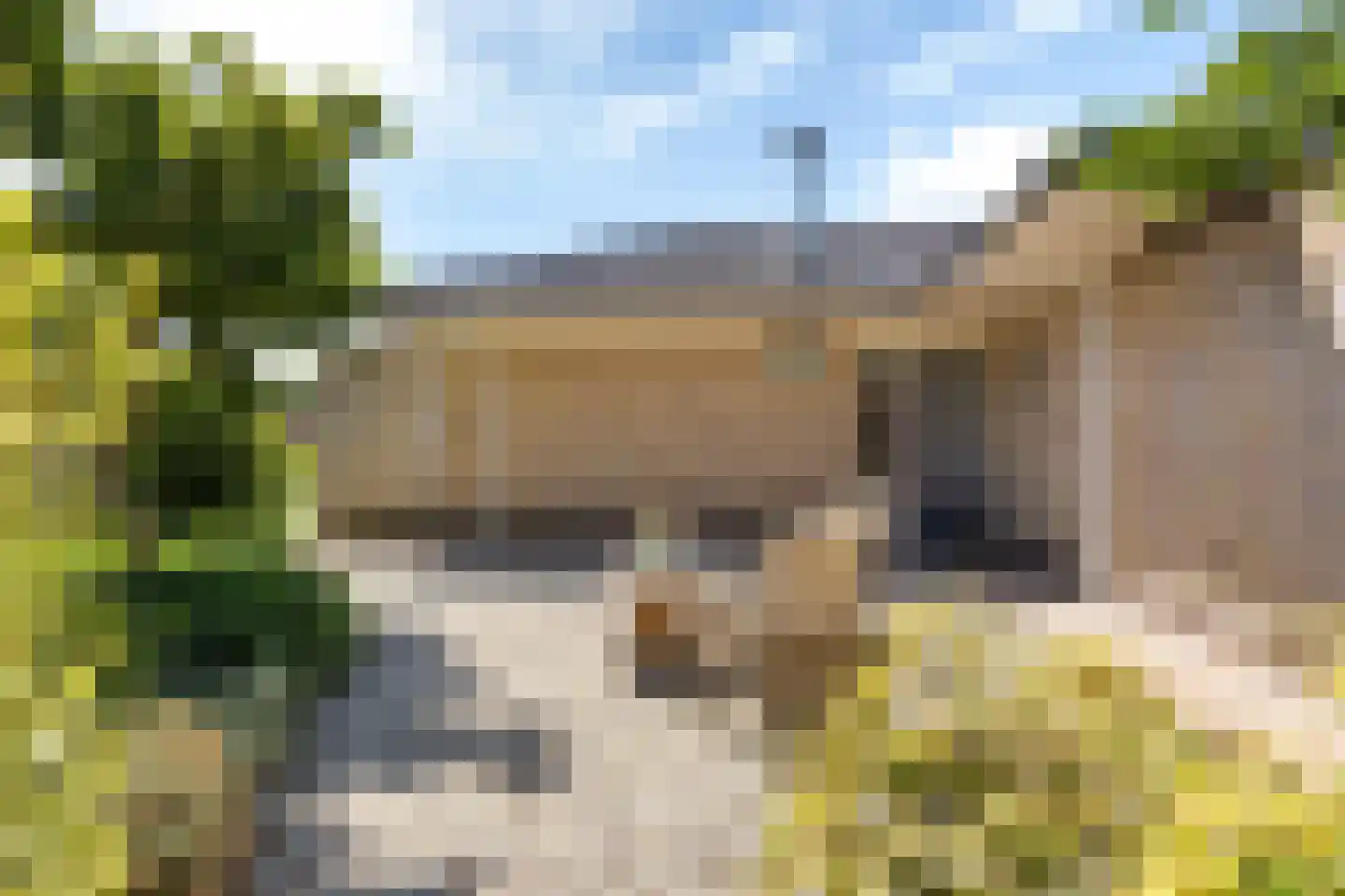 Ringwyk 2 Harkema thumbnail 37