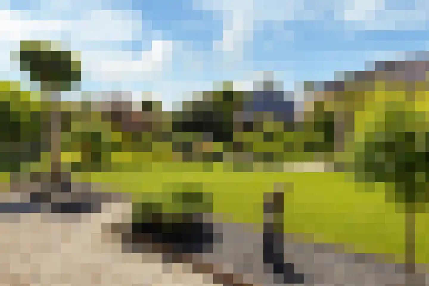 Ringwyk 2 Harkema thumbnail 39