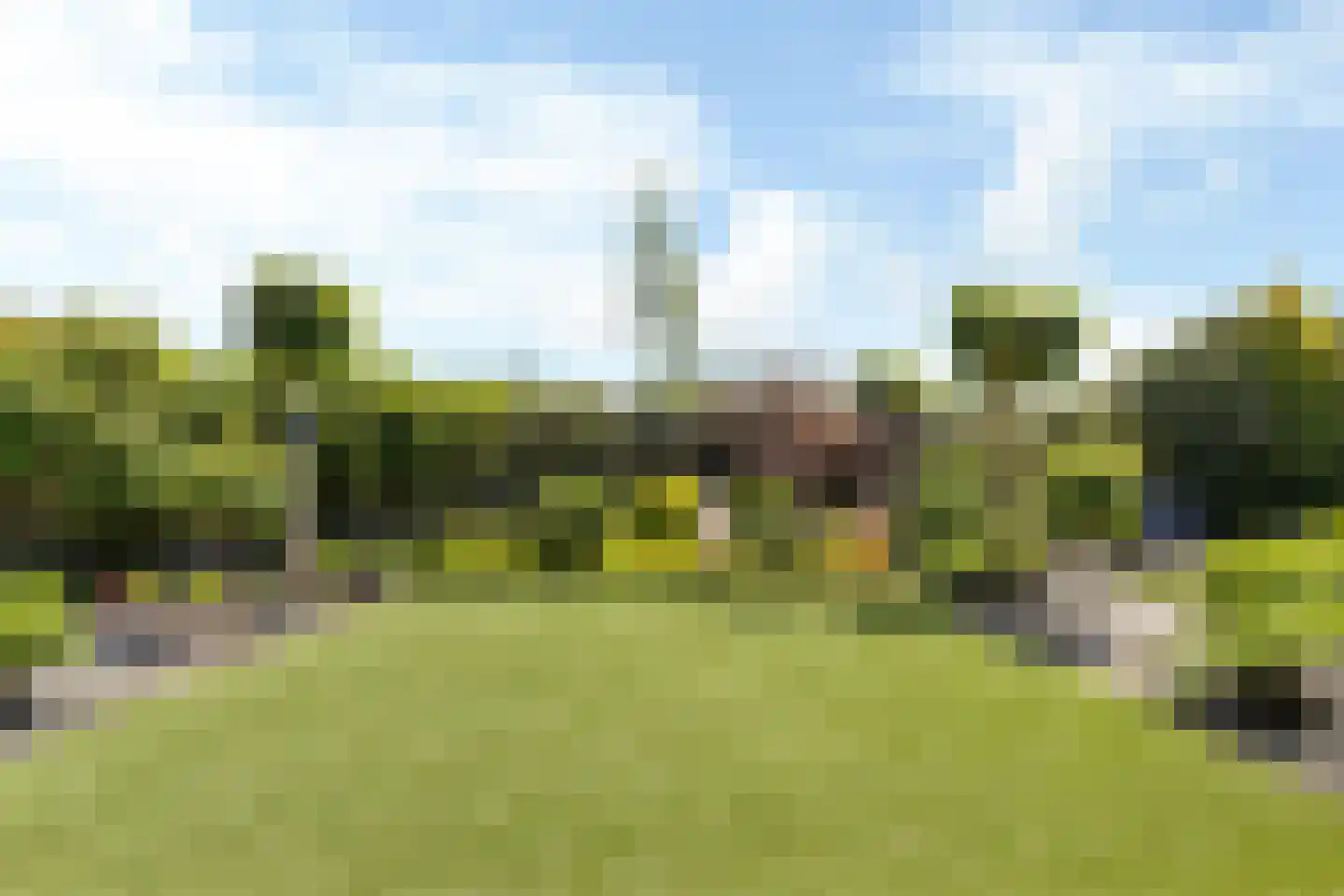 Ringwyk 2 Harkema thumbnail 40