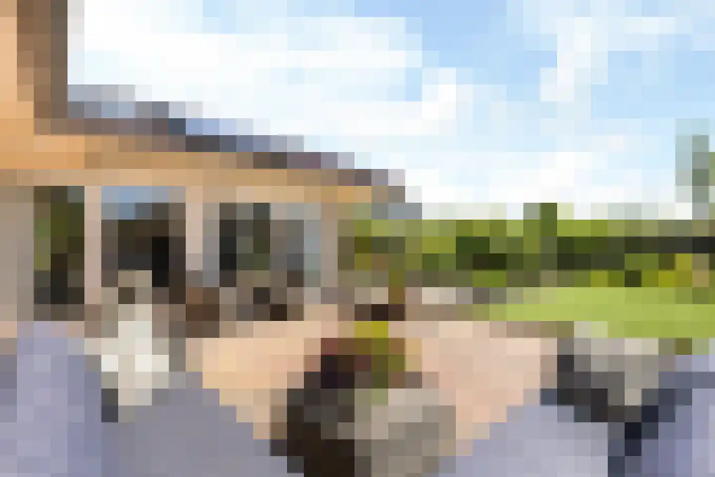 Ringwyk 2 Harkema thumbnail 45