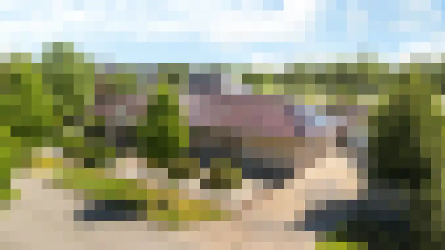 Ringwyk 2 Harkema thumbnail 49