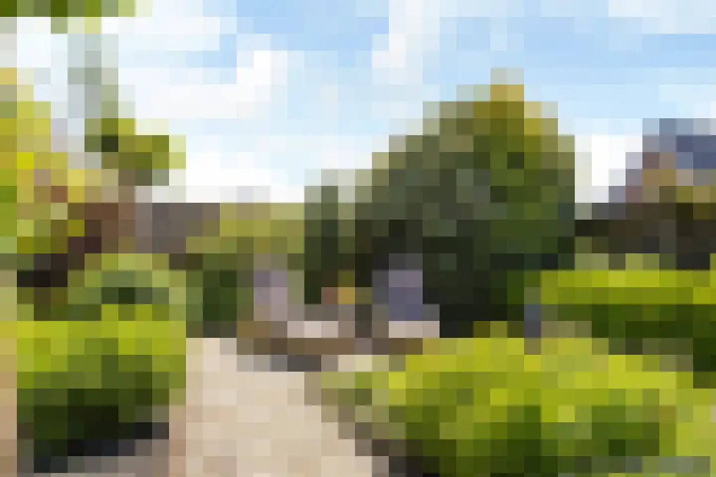 Ringwyk 2 Harkema thumbnail 52
