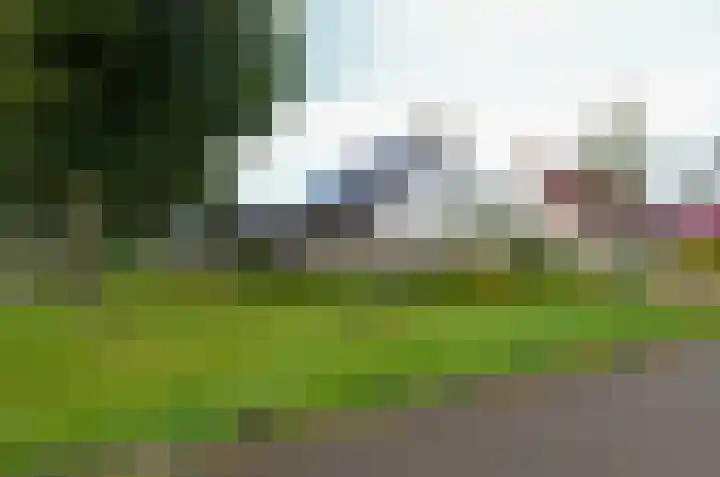 Ringwyk 3 Harkema thumbnail 10