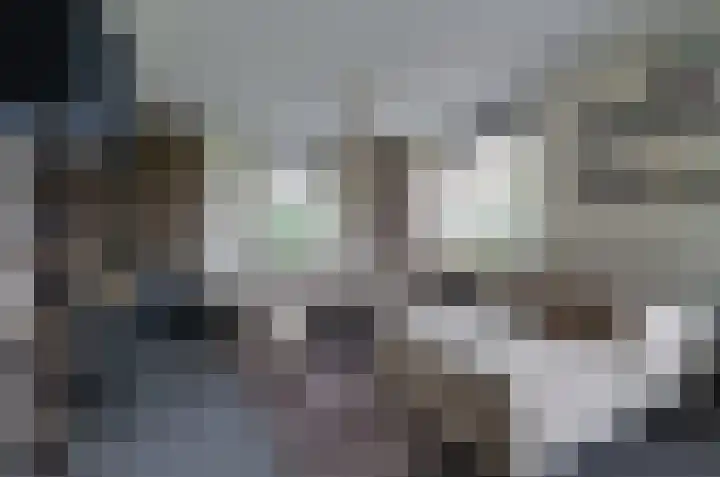 Ringwyk 3 Harkema thumbnail 12