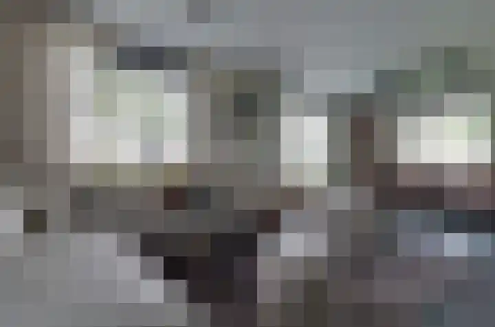 Ringwyk 3 Harkema thumbnail 14