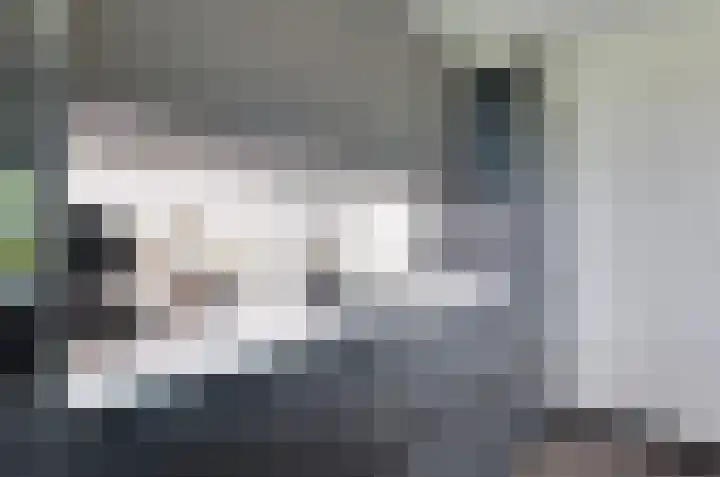 Ringwyk 3 Harkema thumbnail 21