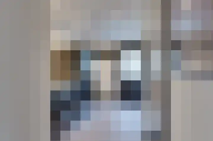 Ringwyk 3 Harkema thumbnail 22