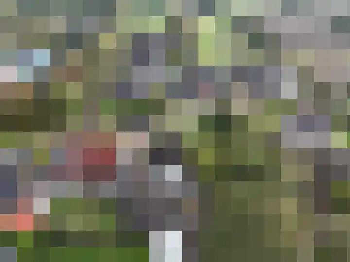 Ringwyk 3 Harkema thumbnail 28