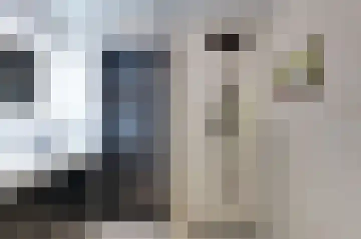 Ringwyk 3 Harkema thumbnail 29