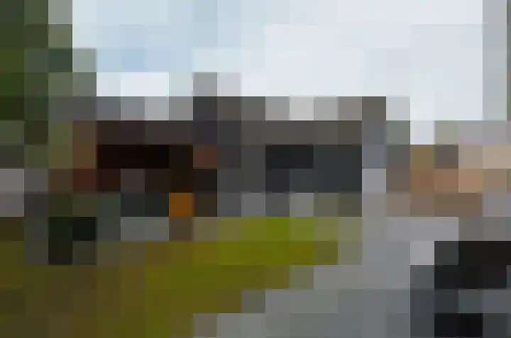 Ringwyk 3 Harkema foto 3