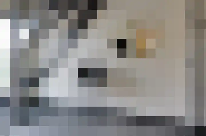 Ringwyk 3 Harkema thumbnail 32