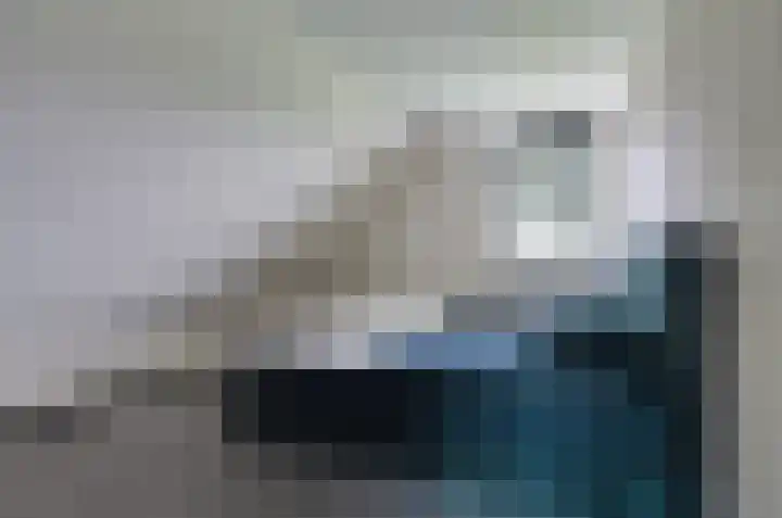 Ringwyk 3 Harkema thumbnail 35