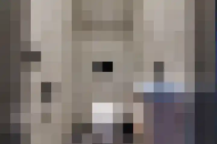 Ringwyk 3 Harkema thumbnail 41