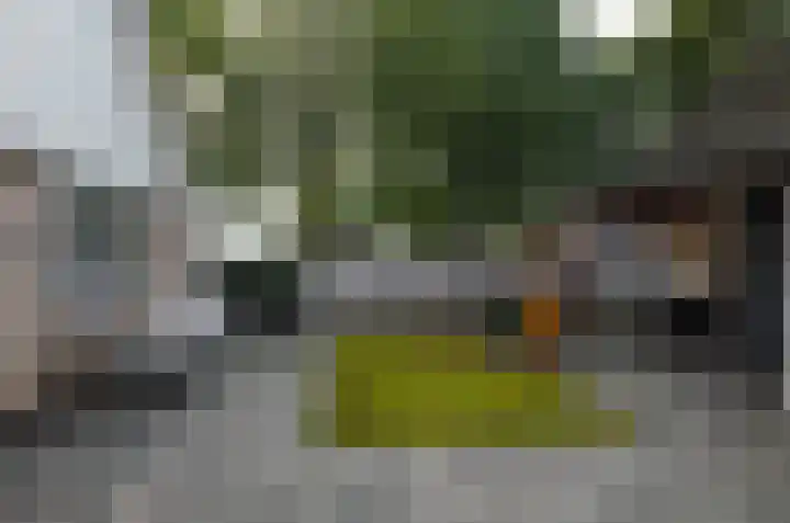 Ringwyk 3 Harkema thumbnail 42