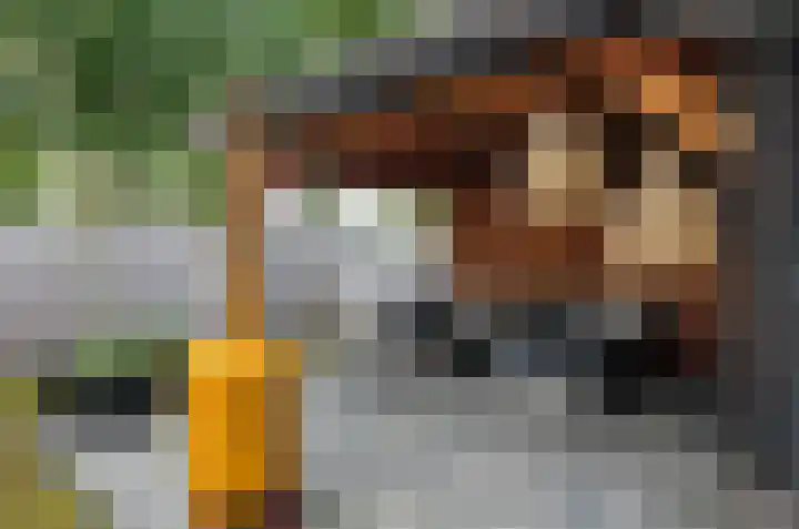 Ringwyk 3 Harkema thumbnail 43