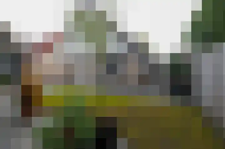 Ringwyk 3 Harkema thumbnail 46