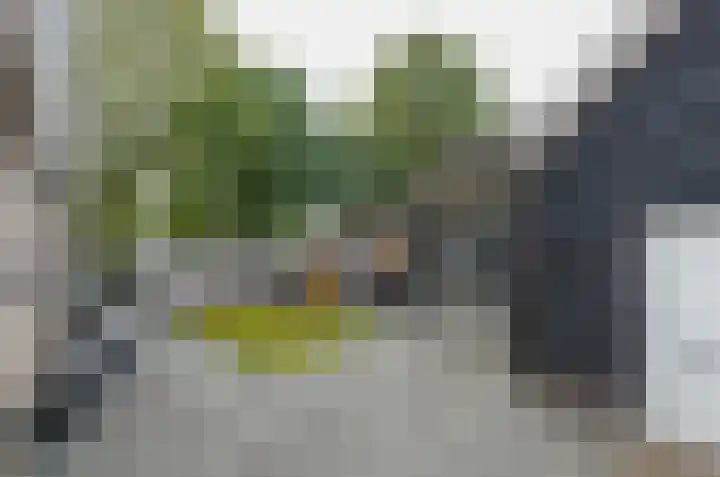 Ringwyk 3 Harkema thumbnail 47