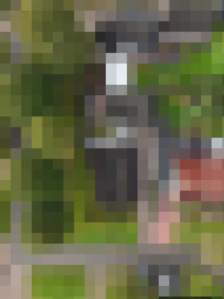Ringwyk 3 Harkema thumbnail 49