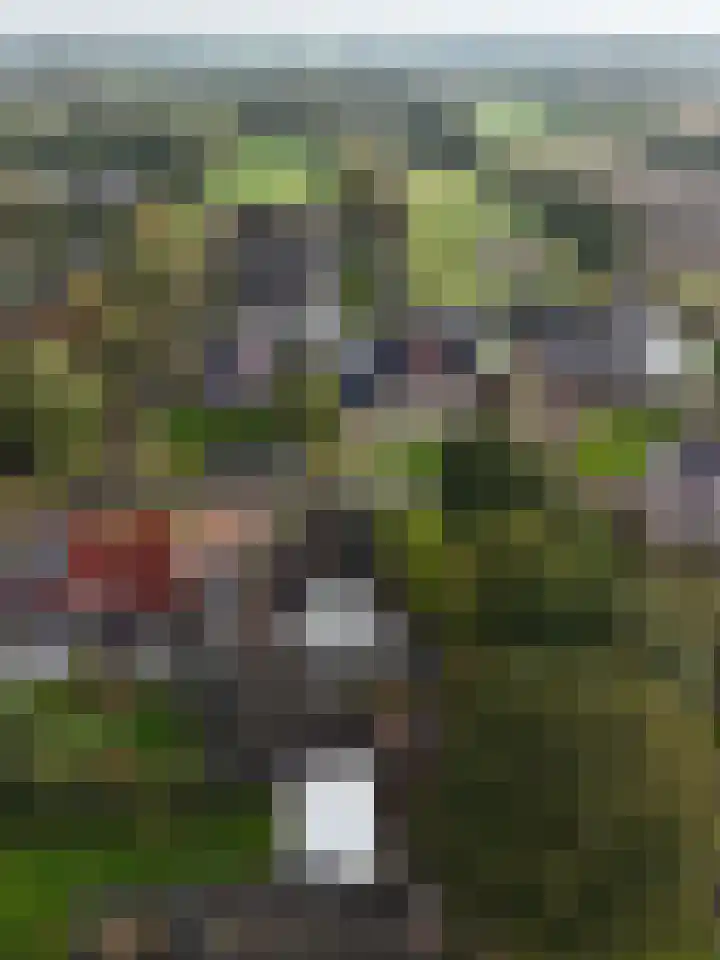 Ringwyk 3 Harkema thumbnail 50