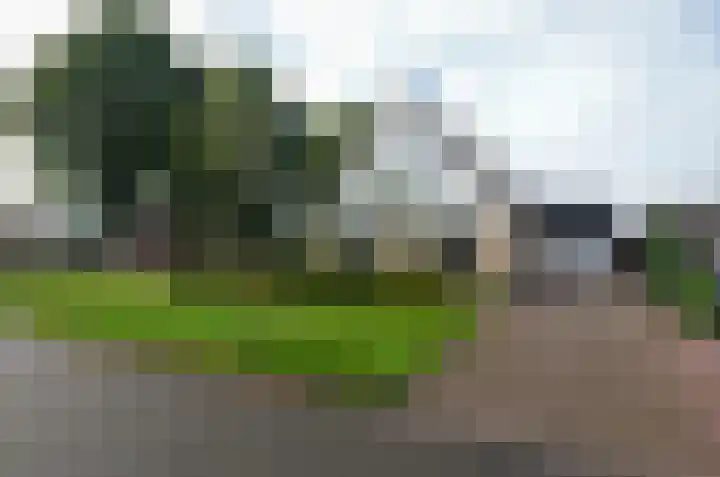 Ringwyk 3 Harkema thumbnail 51