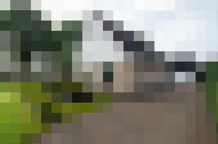 Ringwyk 3 Harkema thumbnail 52