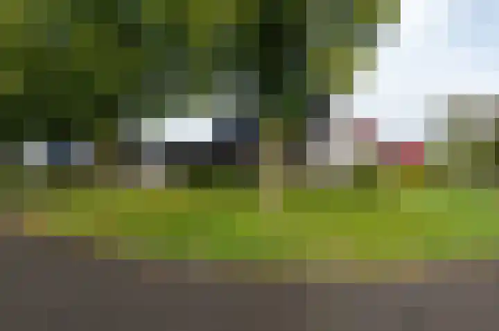 Ringwyk 3 Harkema thumbnail 54