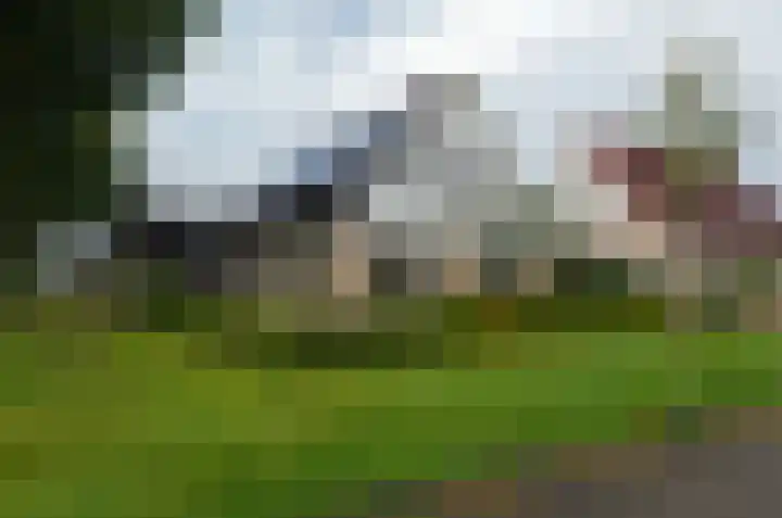 Ringwyk 3 Harkema thumbnail 56