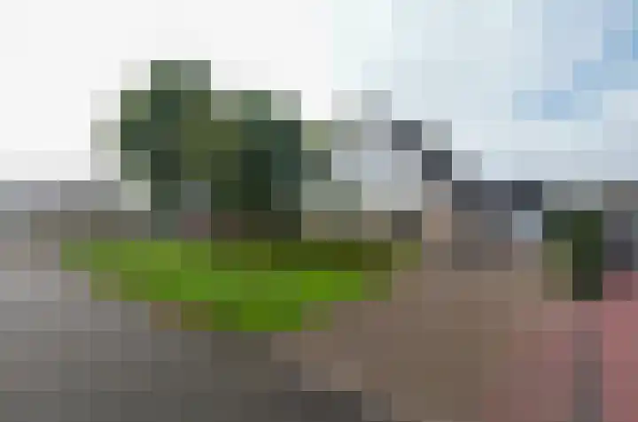 Ringwyk 3 Harkema thumbnail 8