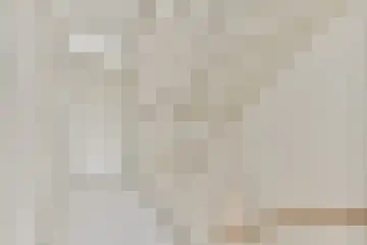 Rini Ottehof 22 Amsterdam thumbnail 15