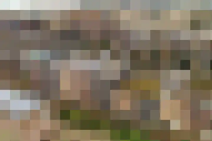 Rini Ottehof 22 Amsterdam thumbnail 33