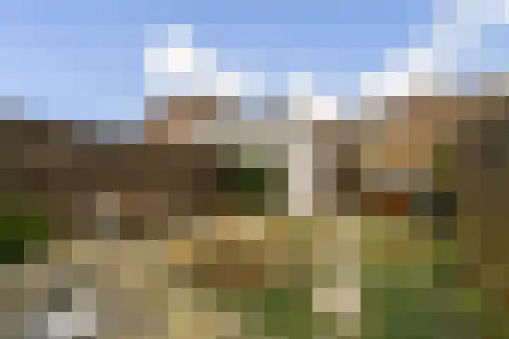 Rini Ottehof 22 Amsterdam thumbnail 4
