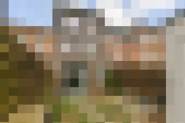 Rini Ottehof 22 Amsterdam thumbnail 5