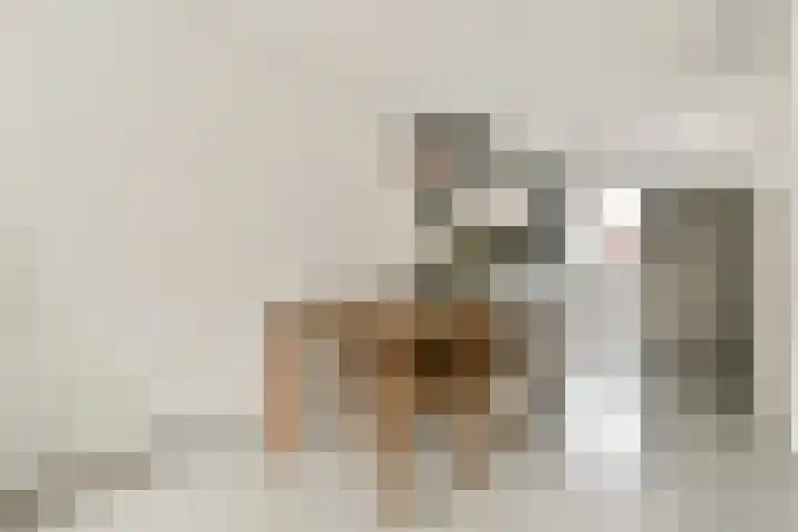 Rini Ottehof 22 Amsterdam thumbnail 9