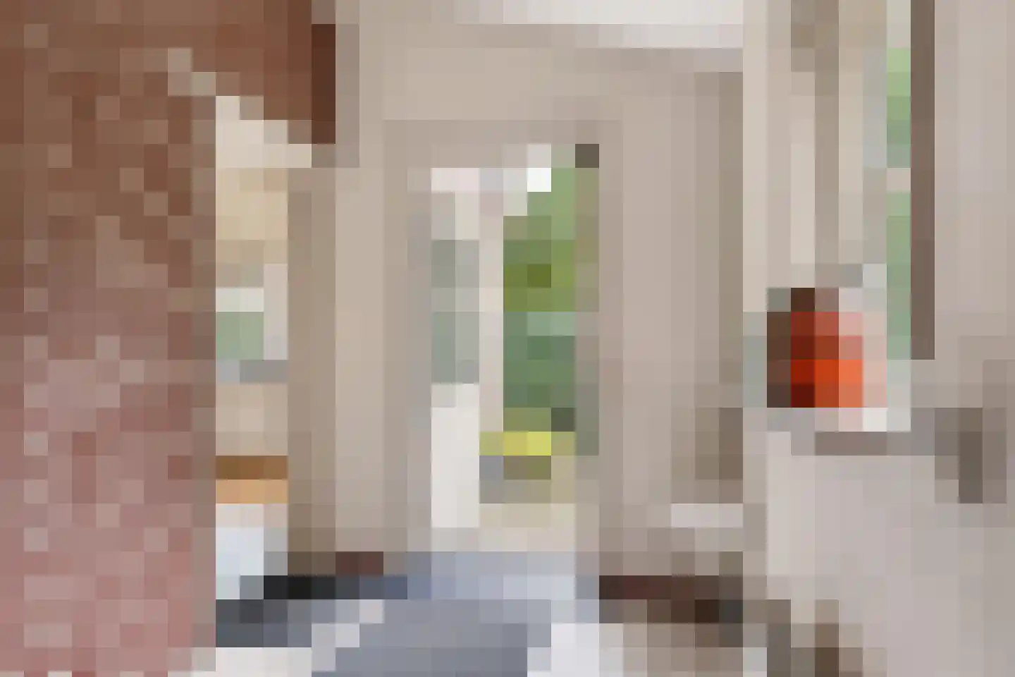 Rinia van Nautaweg 35 A Gytsjerk thumbnail 23