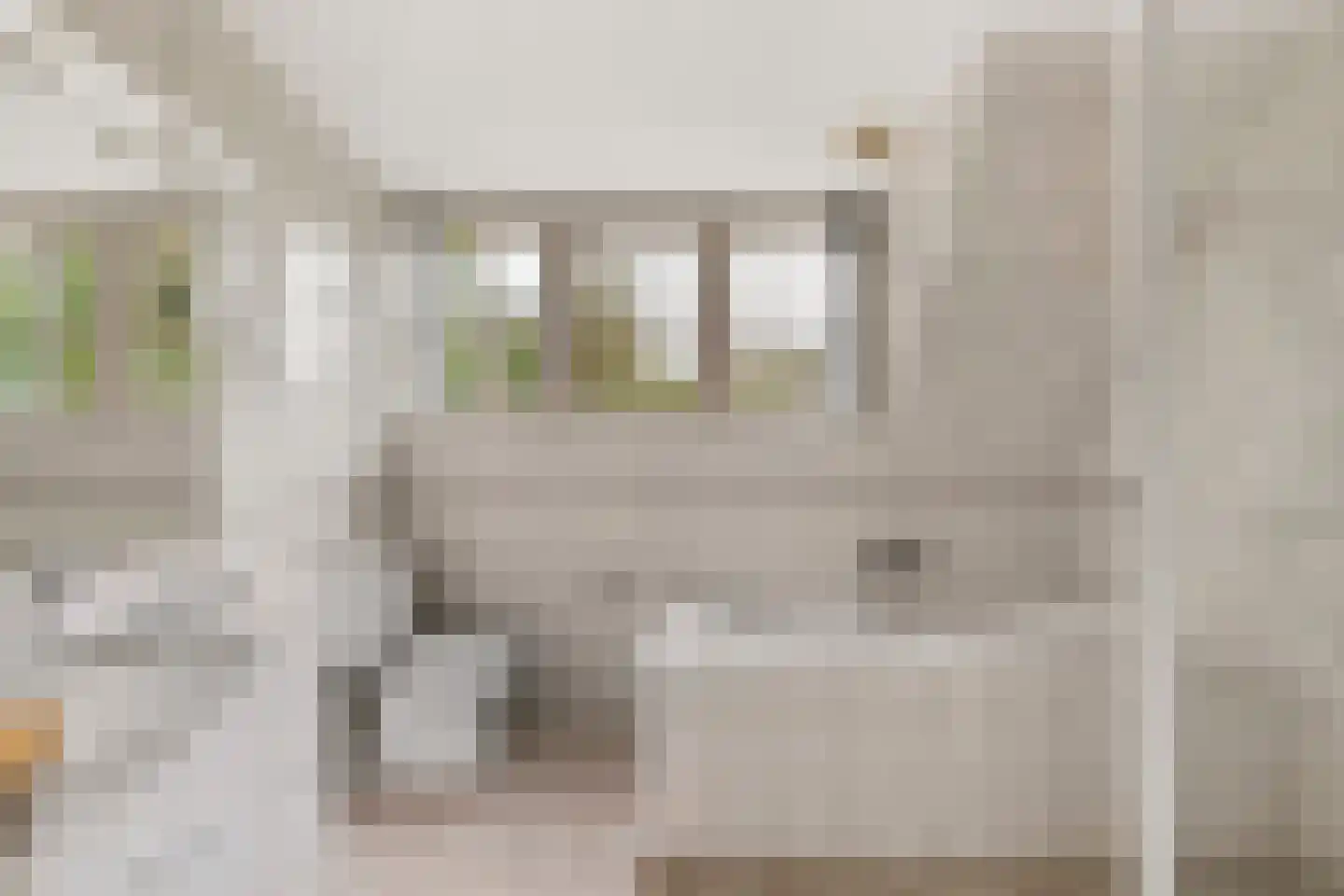 Rinia van Nautaweg 35 A Gytsjerk thumbnail 31